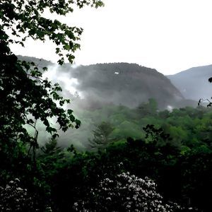 Meet your Posher, Aimeé